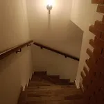 Vinny Sklipek U Dedy