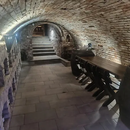 Vinný Sklípek U Dědy Casa de Férias Hrusky (Breclav)