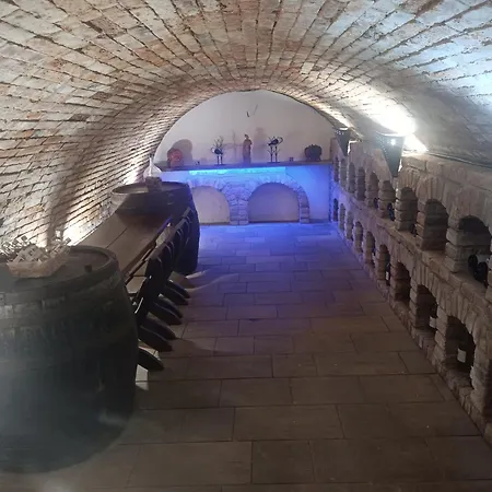 Vinný Sklípek U Dědy Casa de Férias *