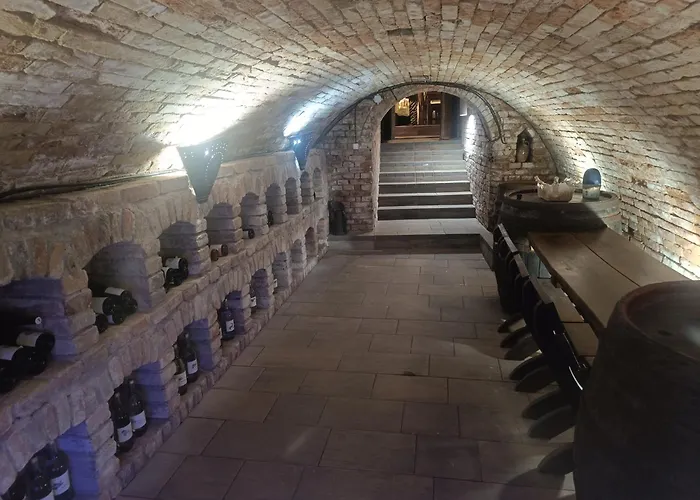Vinný Sklípek U Dědy Сasa de vacaciones *